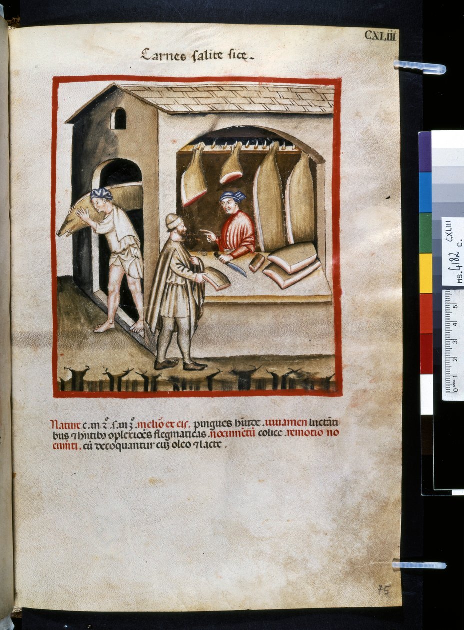 Theatrum sanitatis af Ububchasym de Baldach: 