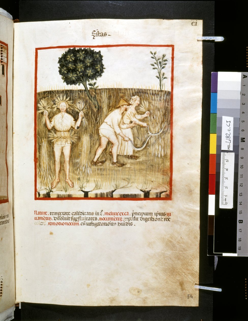 Theatrum sanitatis af Ububchasym de Baldach: 