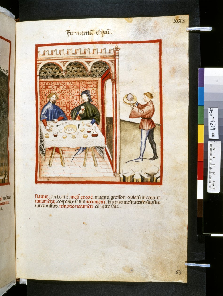 Theatrum sanitatis af Ububchasym de Baldach: "Furmentum Elixum", første årti af det 14. århundrede (miniature) af Giovannino de