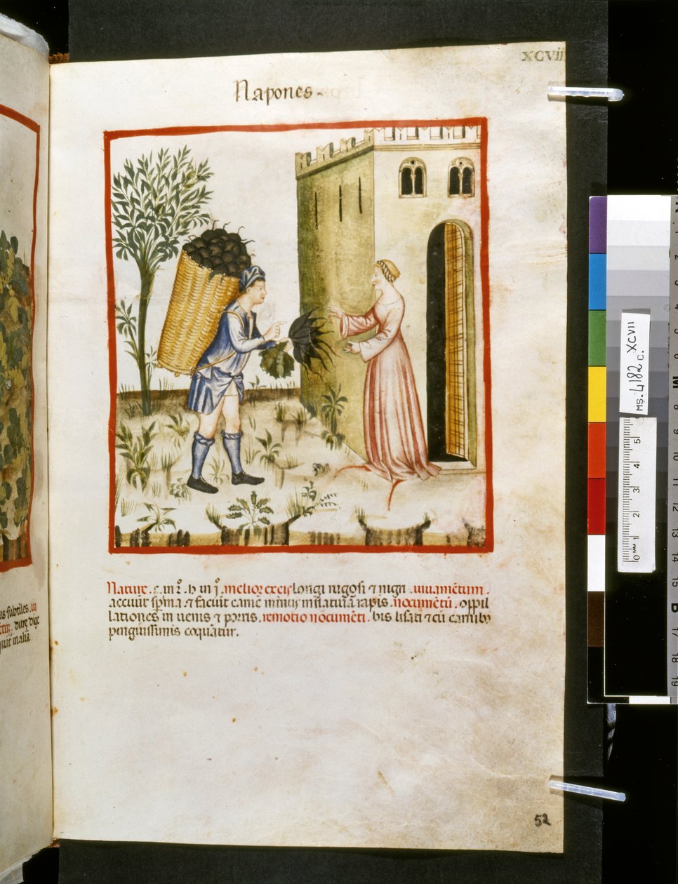 Theatrum sanitatis af Ububchasym de Baldach: 
