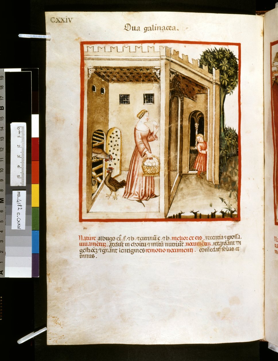 Theatrum sanitatis af Ububchasym de Baldach: 