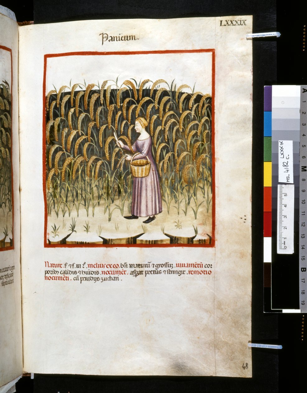 Theatrum sanitatis af Ububchasym de Baldach: 