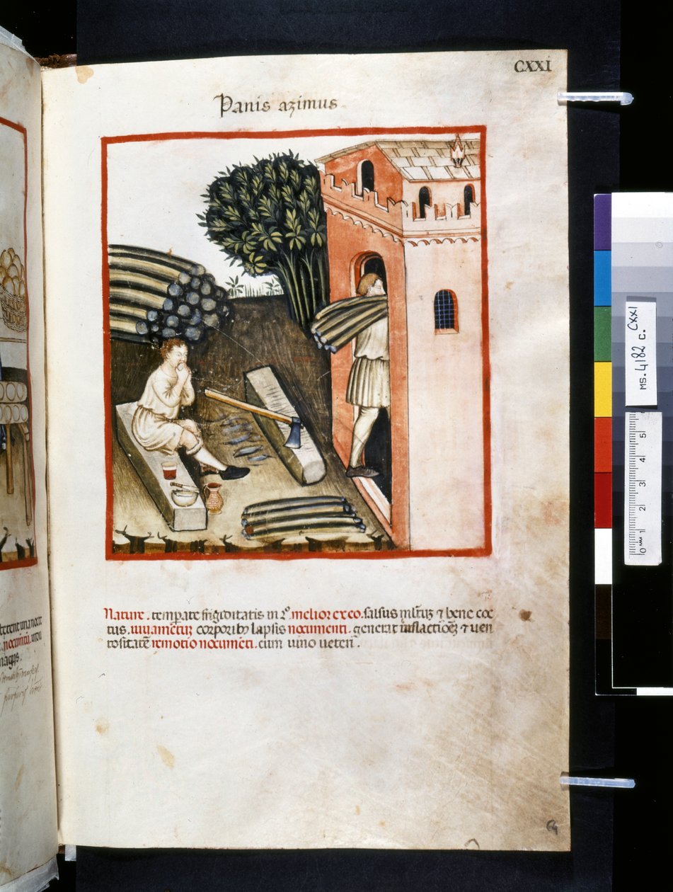 Theatrum sanitatis af Ububchasym de Baldach: "Panis Azimus", første årti af det 14. århundrede (miniature) af Giovannino de