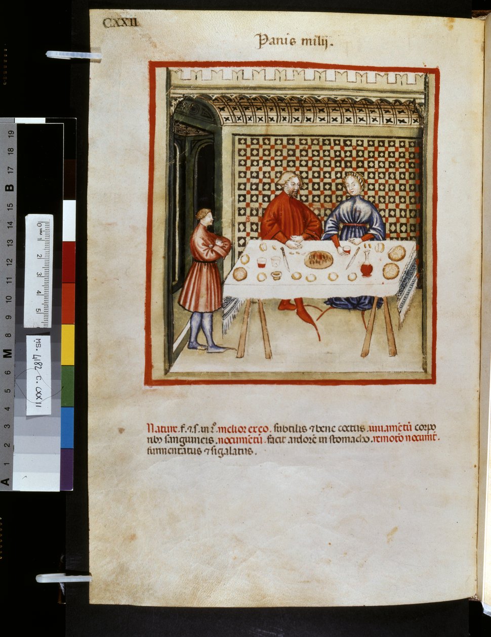 Theatrum sanitatis af Ububchasym de Baldach: 