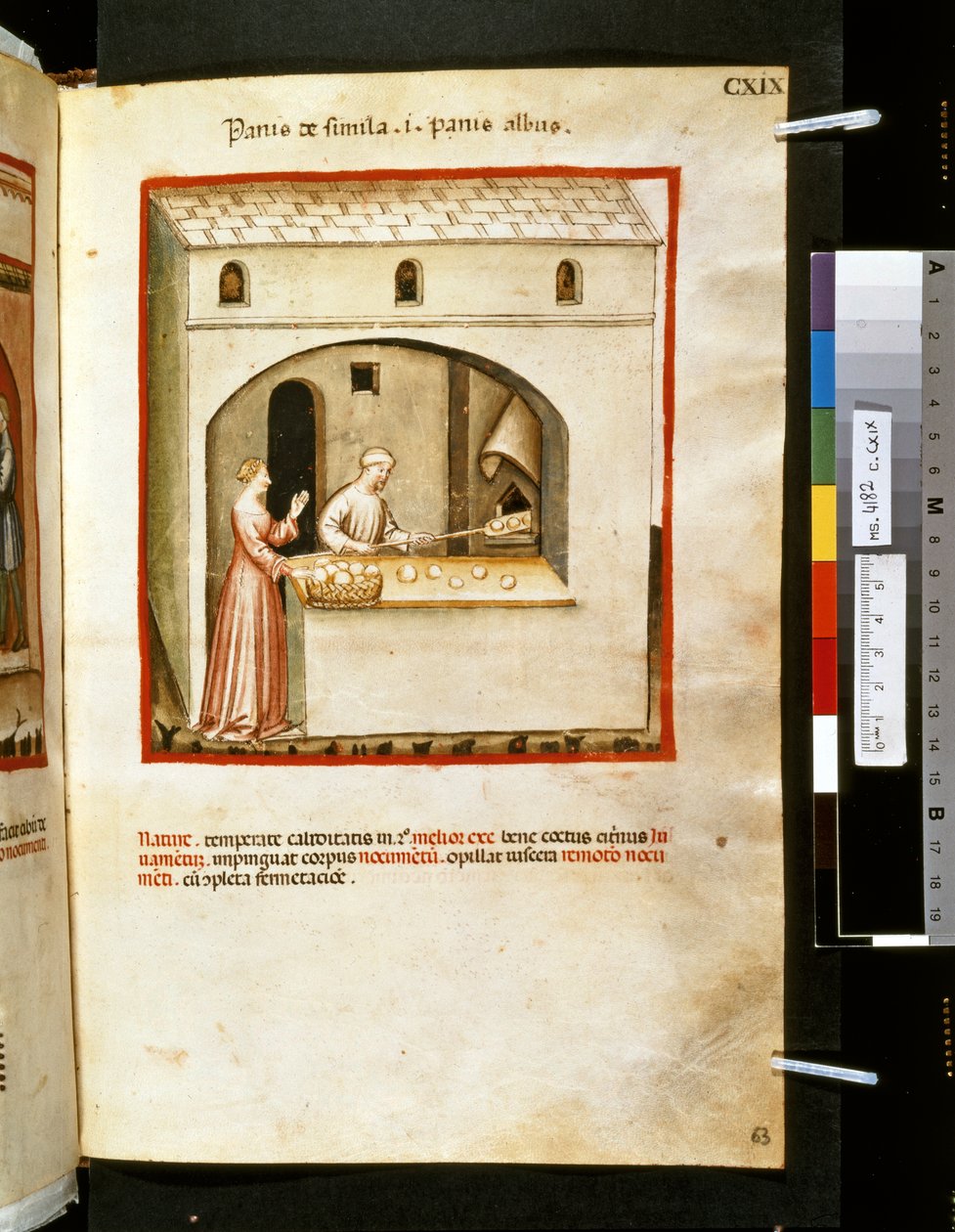 Theatrum sanitatis af Ububchasym de Baldach: 