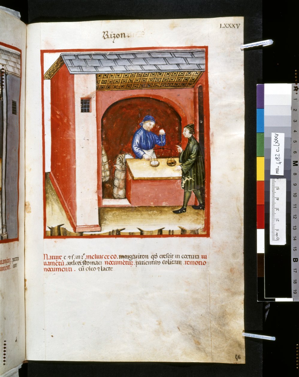 Theatrum sanitatis af Ububchasym de Baldach: 