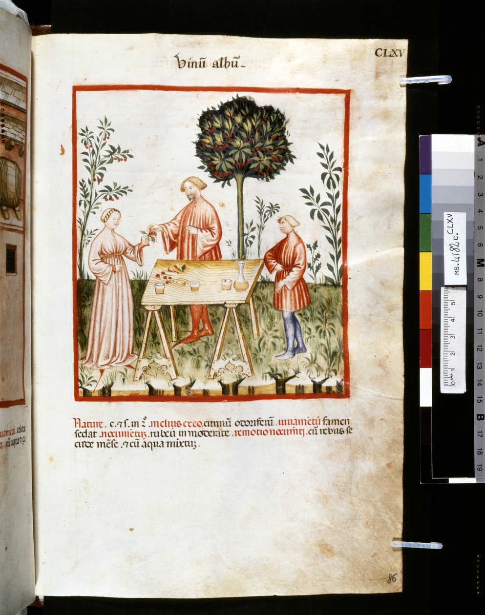 Theatrum sanitatis af Ububchasym de Baldach: 