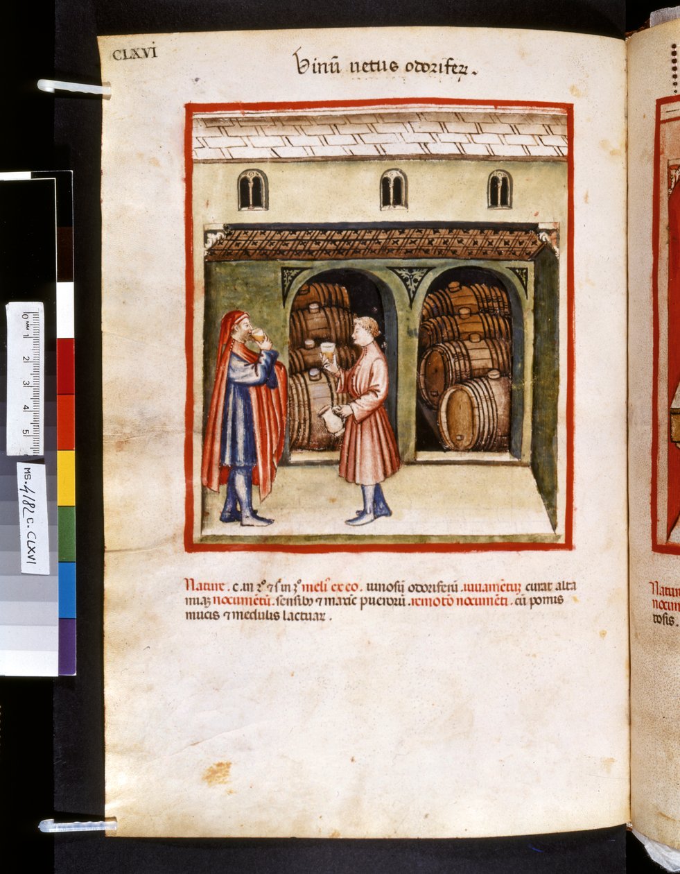 Theatrum sanitatis af Ububchasym de Baldach: 