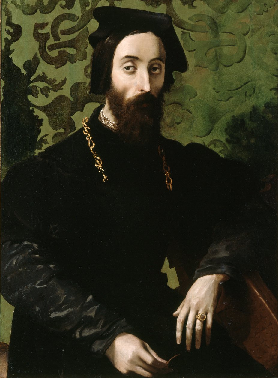 Portræt af en musiker, ca. 1540 (olie på panel) af Girolamo Mazzola (attr.) Bedoli