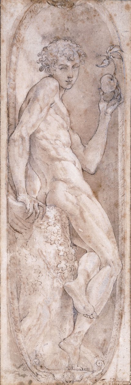 Adam holding an Apple, seated, in a Medallion, c.1547-1553dani af Girolamo Mazzola Bedoli