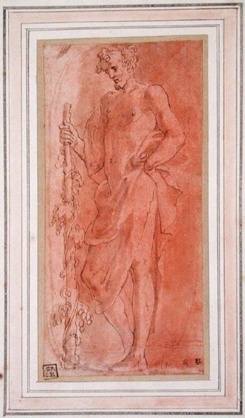 Bacchus (pen og brunt blæk og vask på papir) af Girolamo Mazzola Bedoli