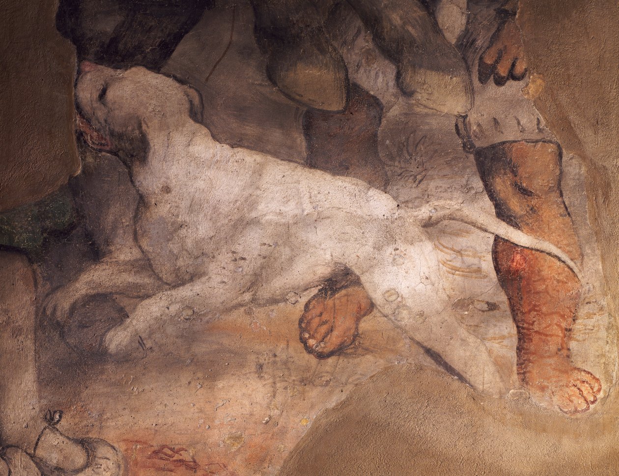 Figur af hund, detalje fra fresco af Girolamo Romanino (ca1484-1566), Sant