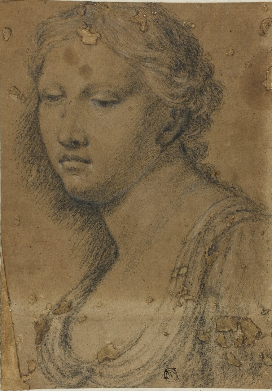 Buste af kvinde af Girolamo da Carpi