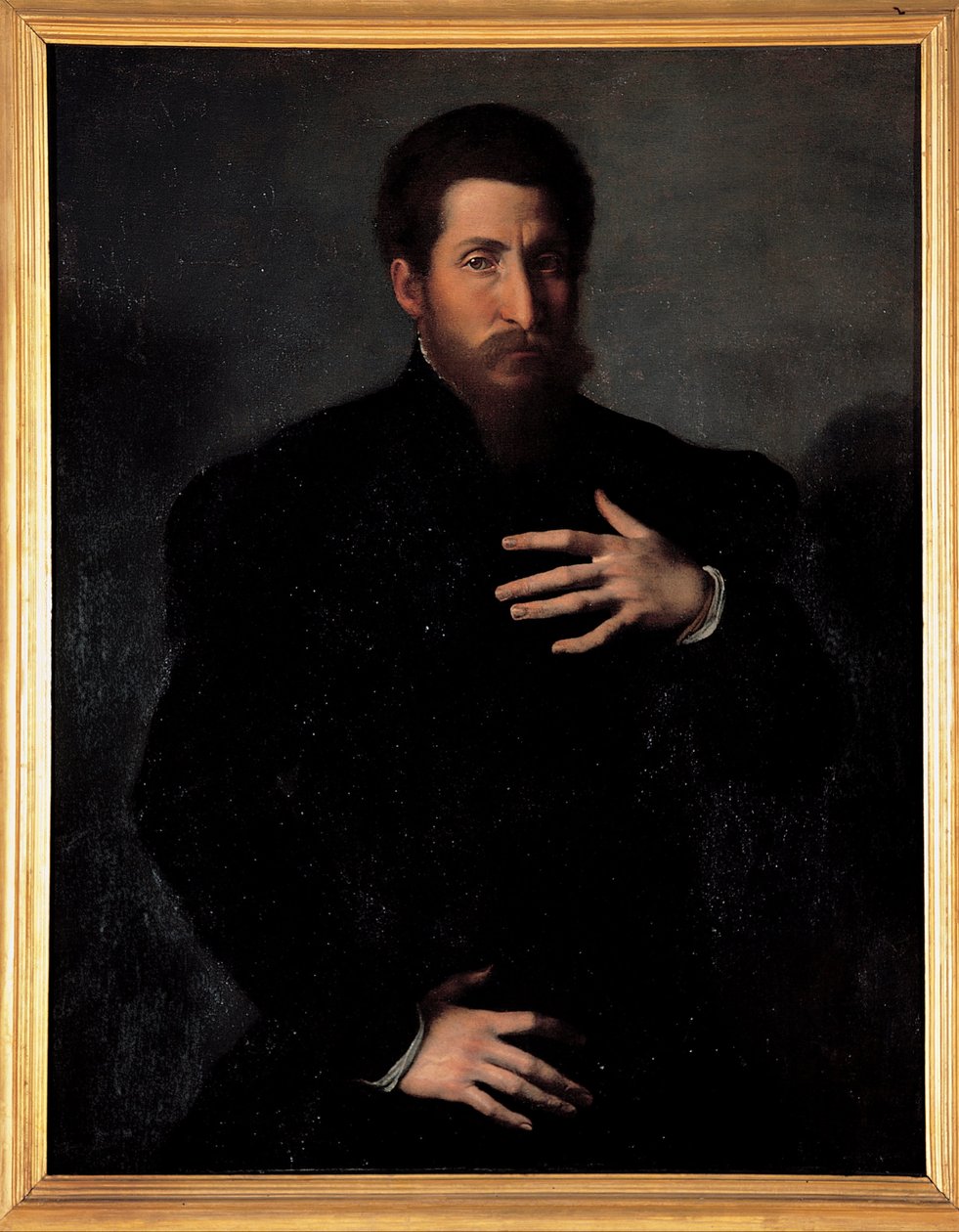 Portræt af en viril mand af Girolamo da Carpi