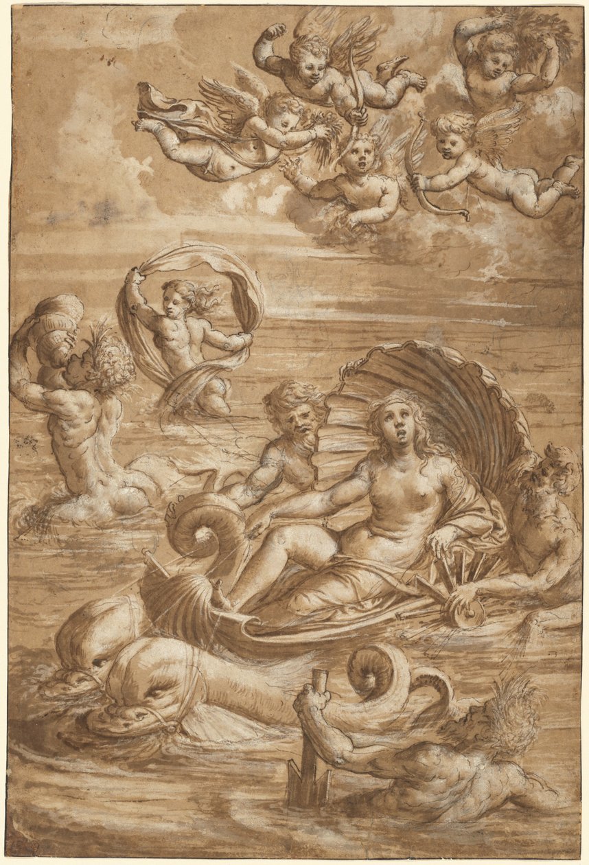 Galateas triumf af Girolamo da Treviso II