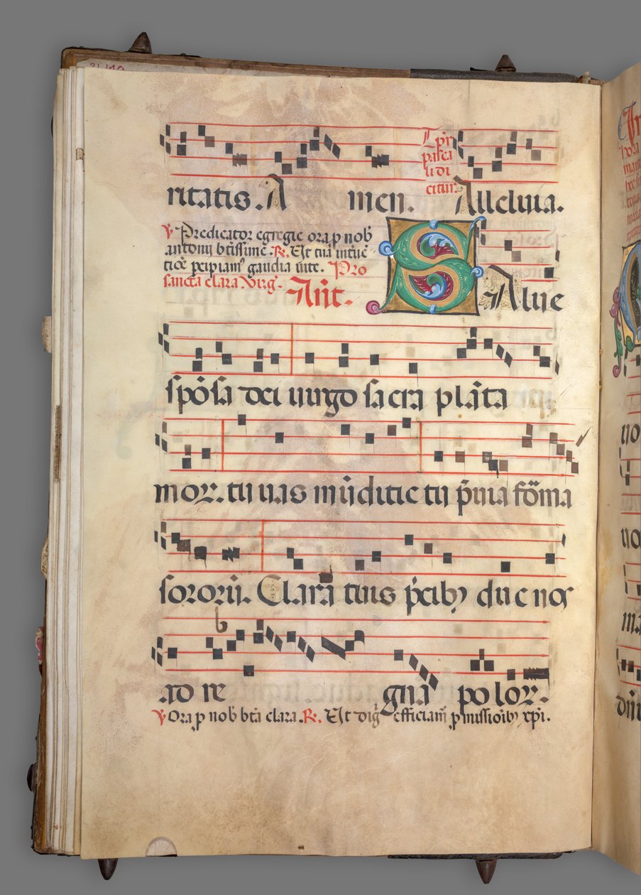Gradvis af Girolamo dai Libri