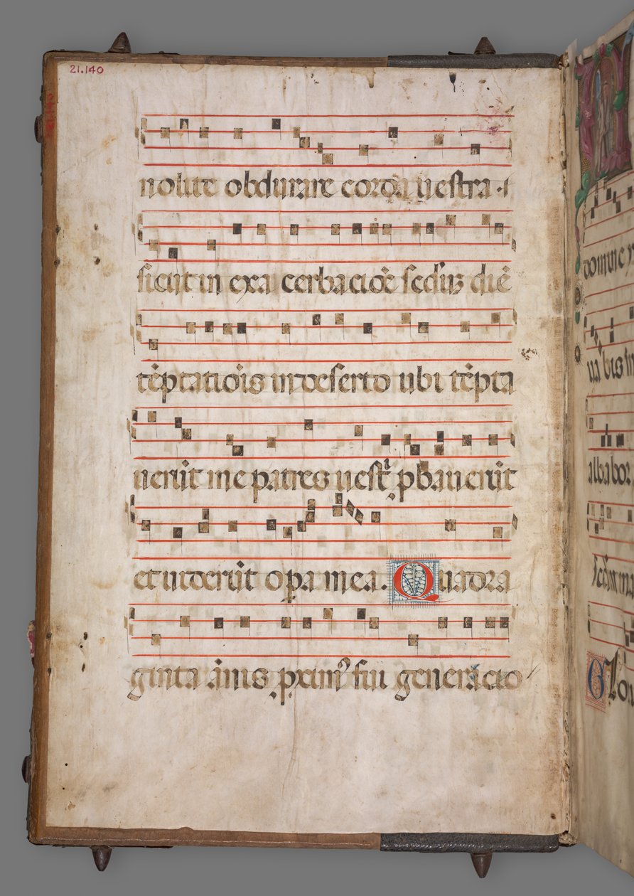 Gradvis, ca. 1520. af Girolamo dai Libri