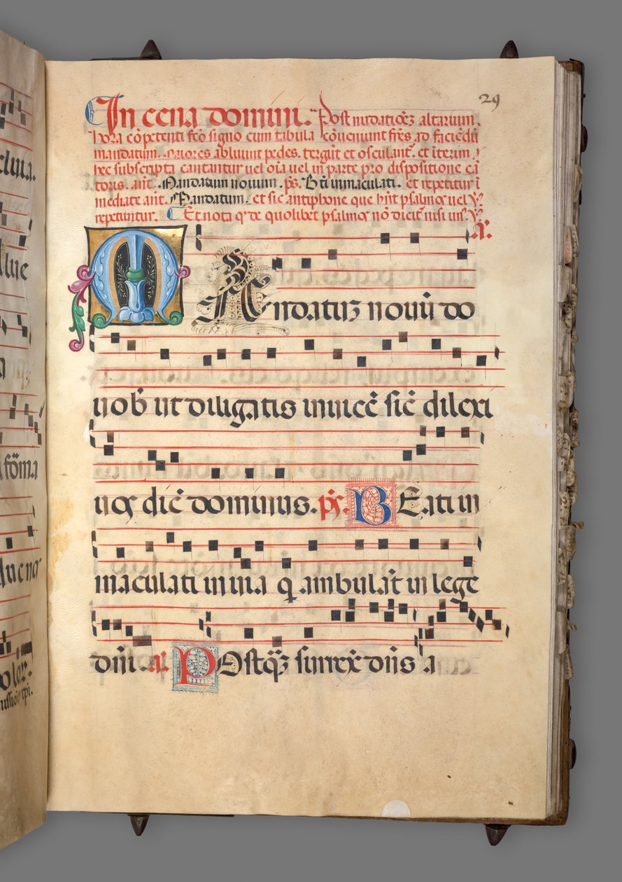 Gradvis, ca. 1520. af Girolamo dai Libri
