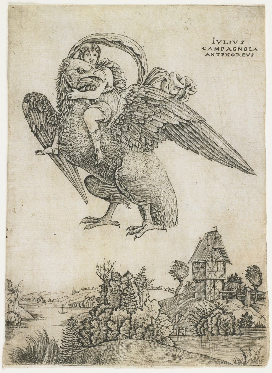 Ganymedes, ca. 1500-1505 af Giulio Campagnola