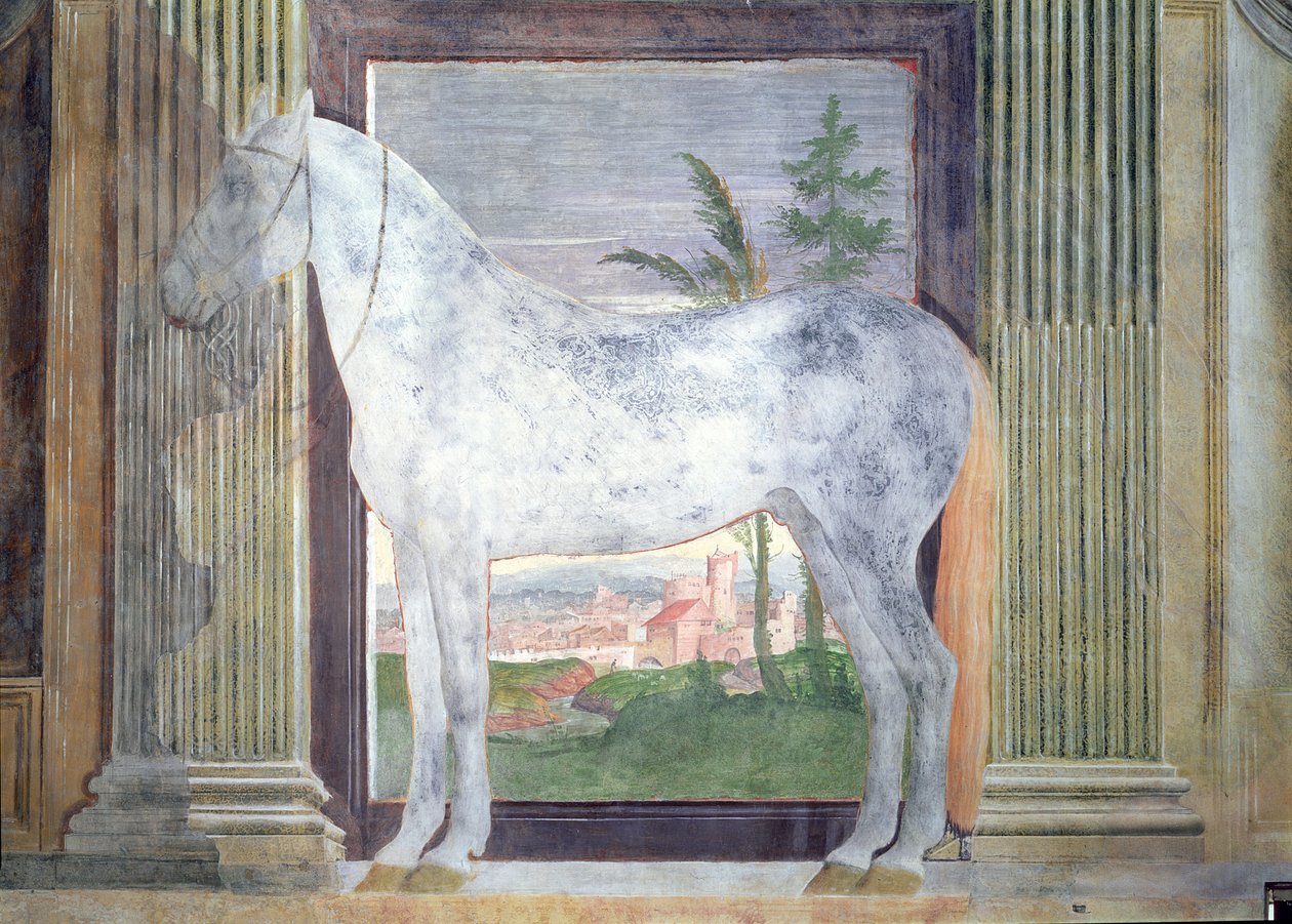 Sala dei Cavalli, detalje, der viser et portræt af en grå hest fra stalden af Ludovico Gonzaga III af Mantua, 1528 af Giulio Romano