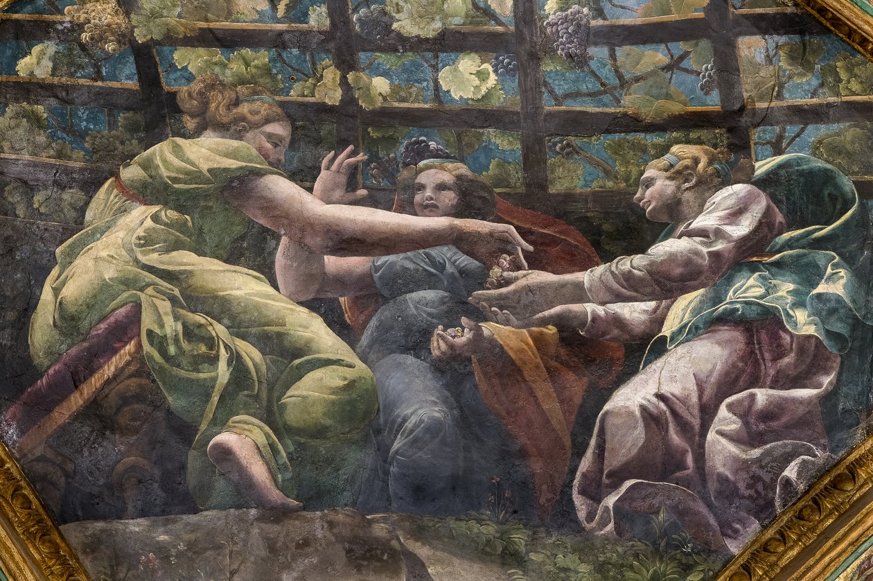 Detalje af hvælvingen med unge kvinder og druer, Amor og Psykes kammer (Sala di Amore e Psiche) af Giulio (and workshop) Romano