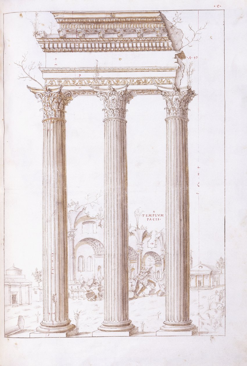 Søjlerne i templet Castor og Pollux, med fredens tempel i baggrunden, ca. 1550 (en original tegning i sort kridt, pen og brunt blæk) af Giulio (circle of) Romano