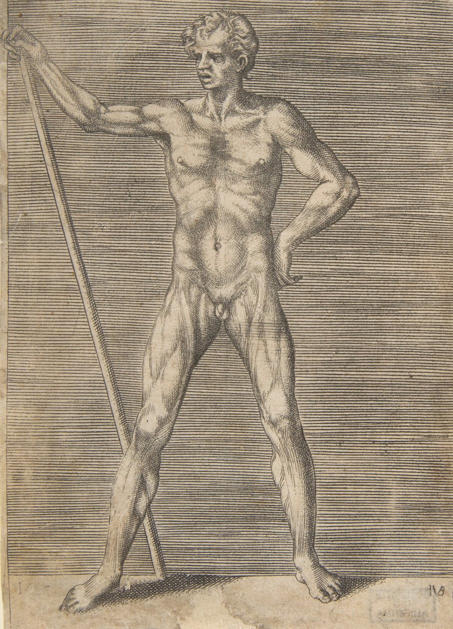 Flænset mand set forfra, med en pind, ca. 1531-76. af Giulio Bonasone