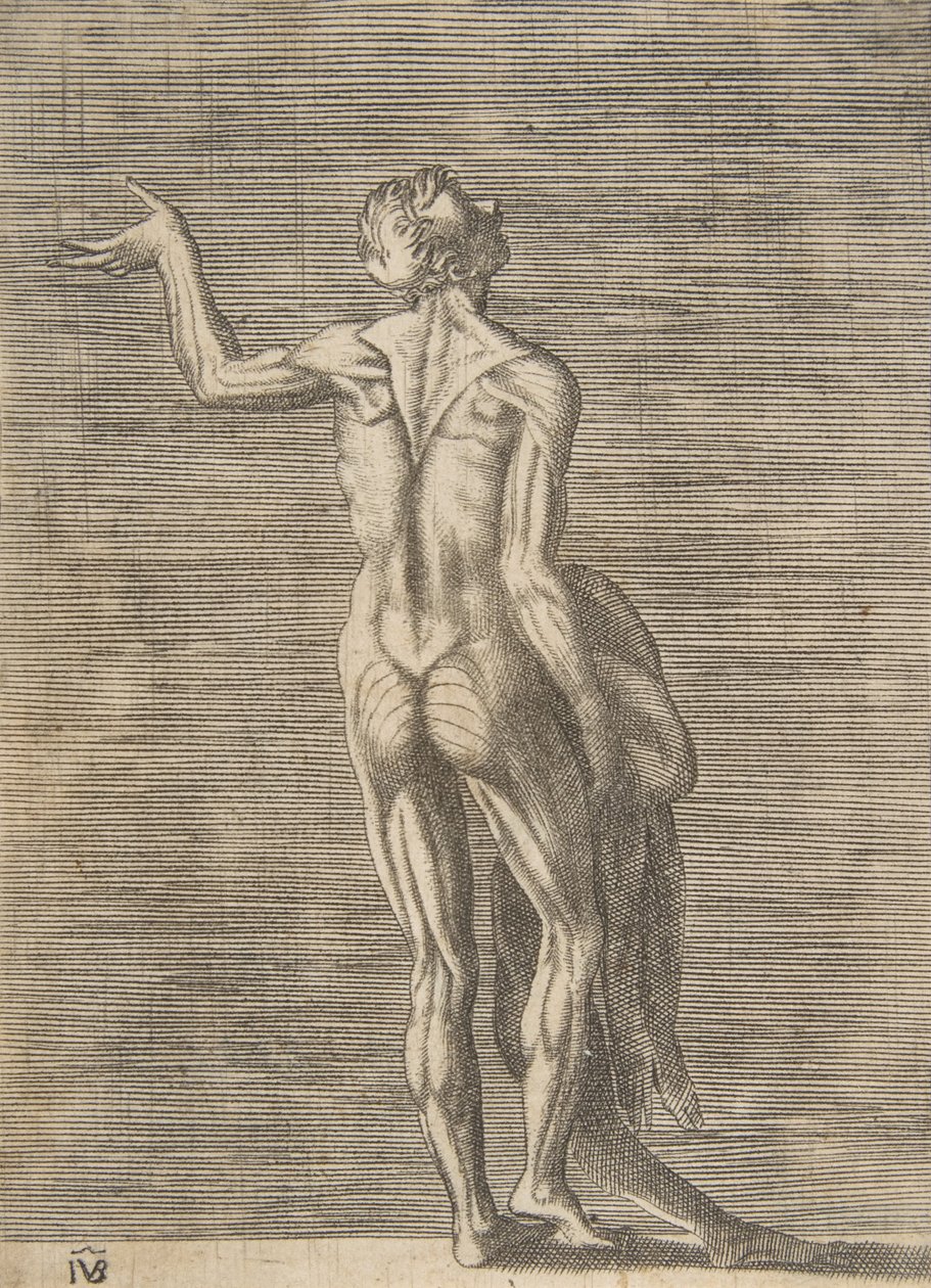 Flænset mand med venstre hånd på hoften, holder huden i højre hånd, ca. 1531-76. af Giulio Bonasone