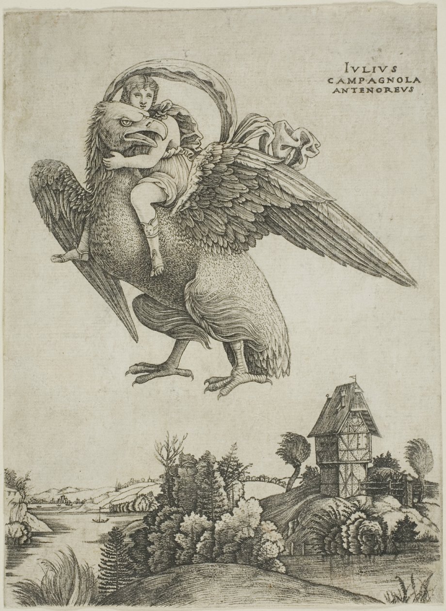 Ganymedes af Giulio Campagnola