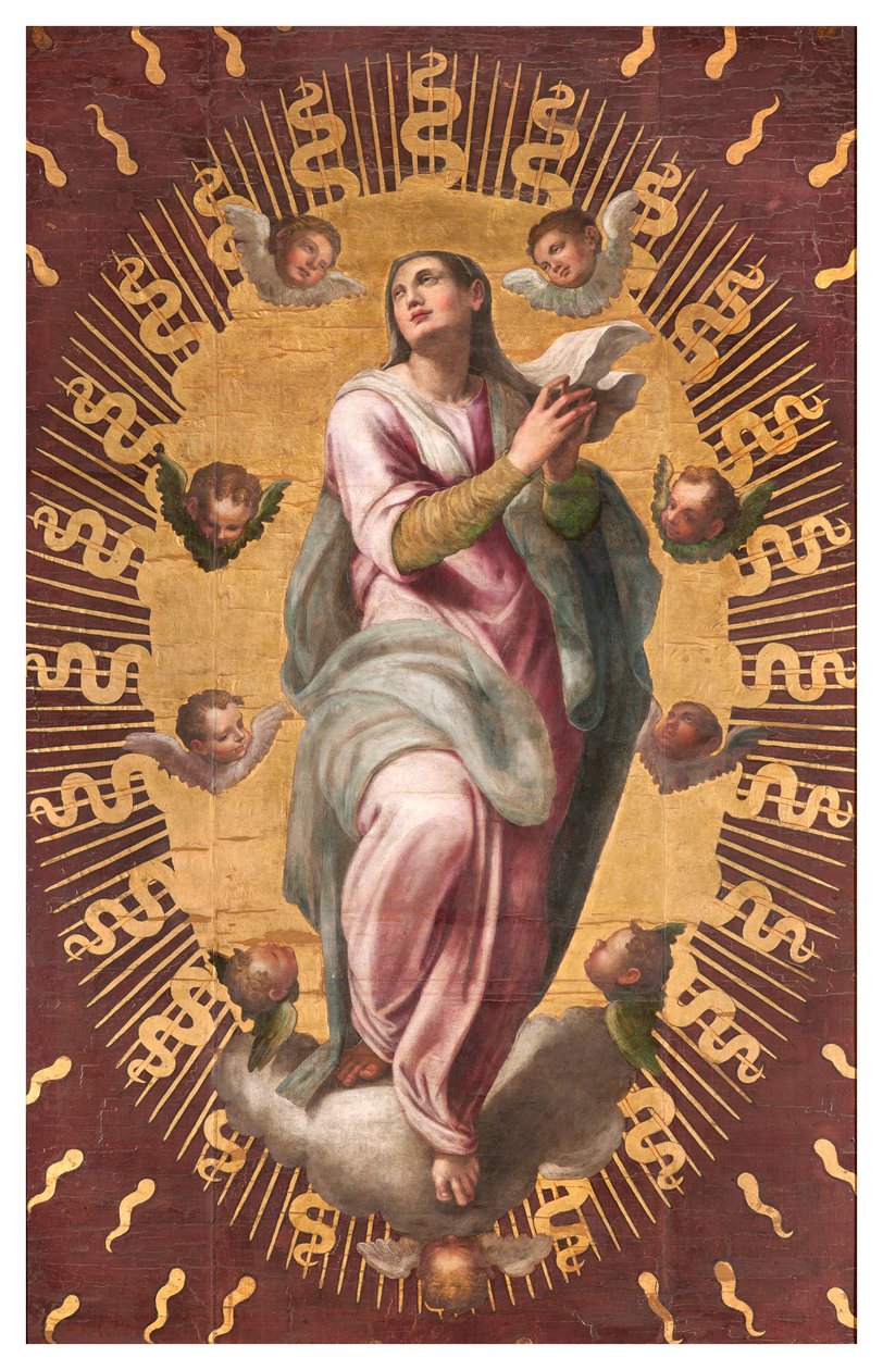 Kanonernes Sakristi, Giulio Campi 1568, Antagelsens Banner af Giulio Campi