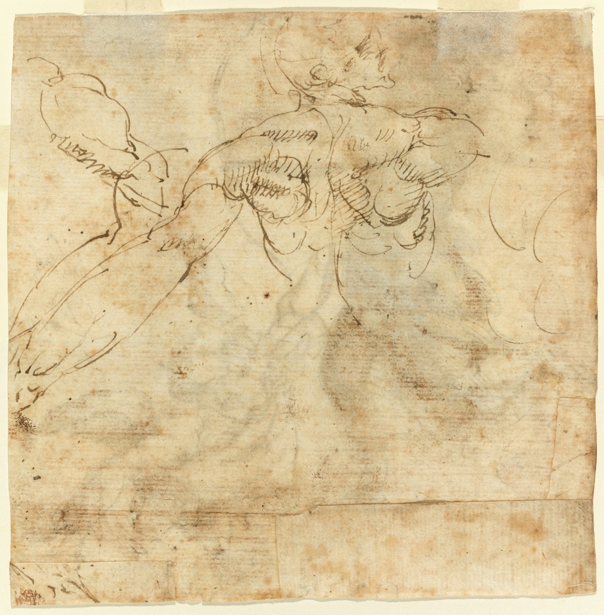 Studie af en ryg af Giulio Cesare Procaccini
