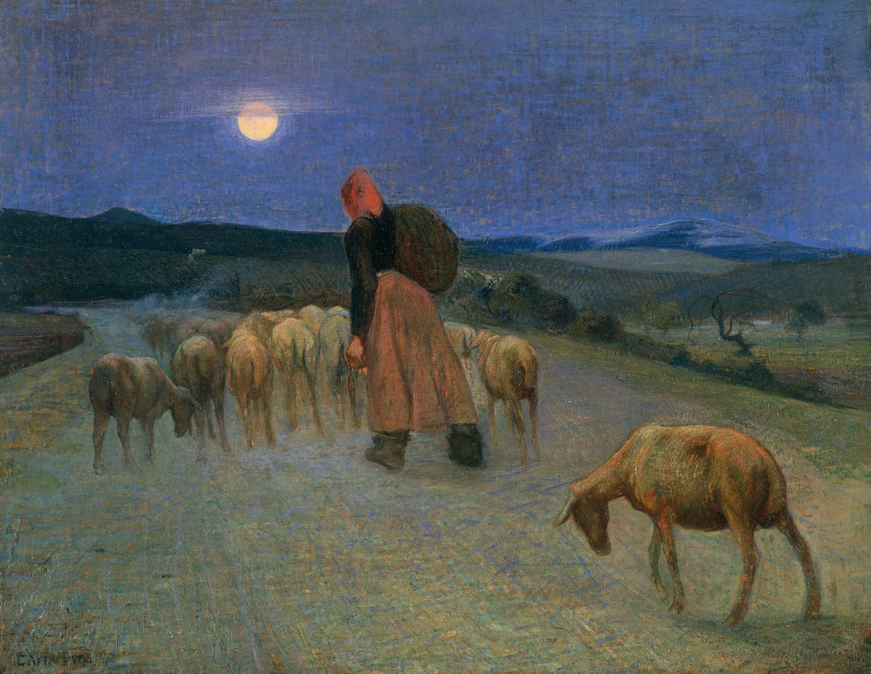 Tilbage til fold (olie på lærred) af Giulio Cesare Vinzio