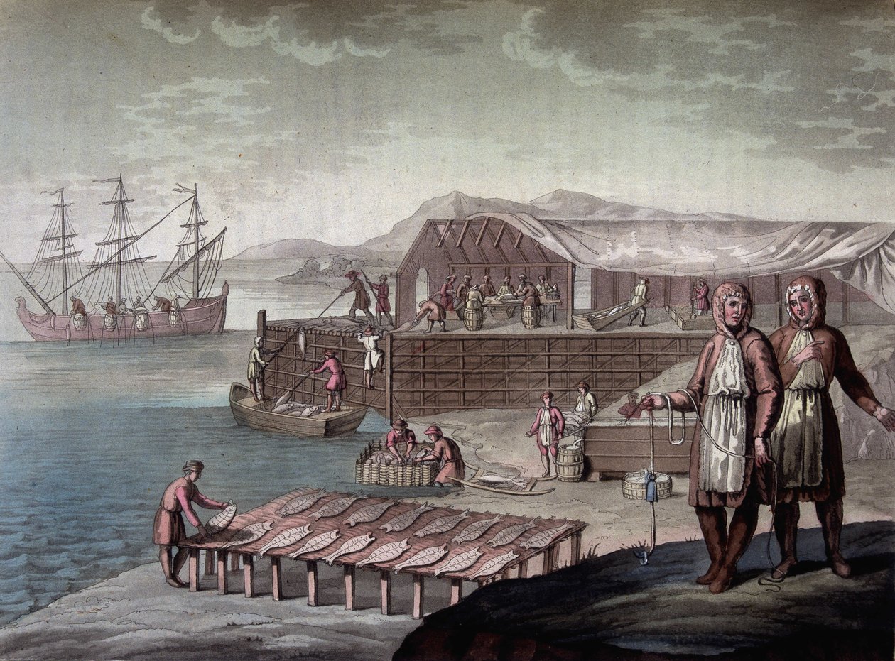 Torskefiskeri lavet af indbyggerne i Newfoundland - i "" Le costume ancien et moderne"" af Ferrario, red. Milano af Giulio Ferrario