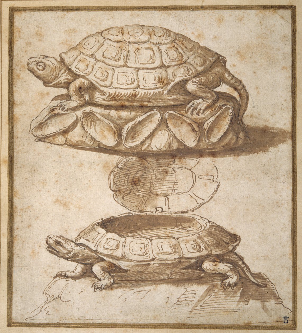 Design til en lågkasse i form af en skildpadde, vist åben og lukket (pen & brun blæk med brun vask på papir) af Giulio Romano