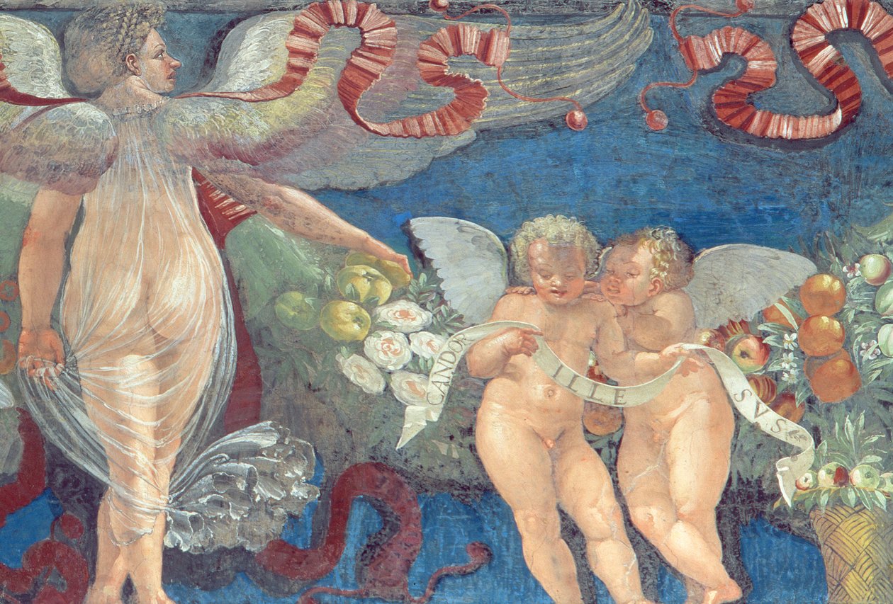 Frieze fra Camera con Fregio di Amorini Amorinis kammer Frieze detalje af to putti og en engel, 1520
