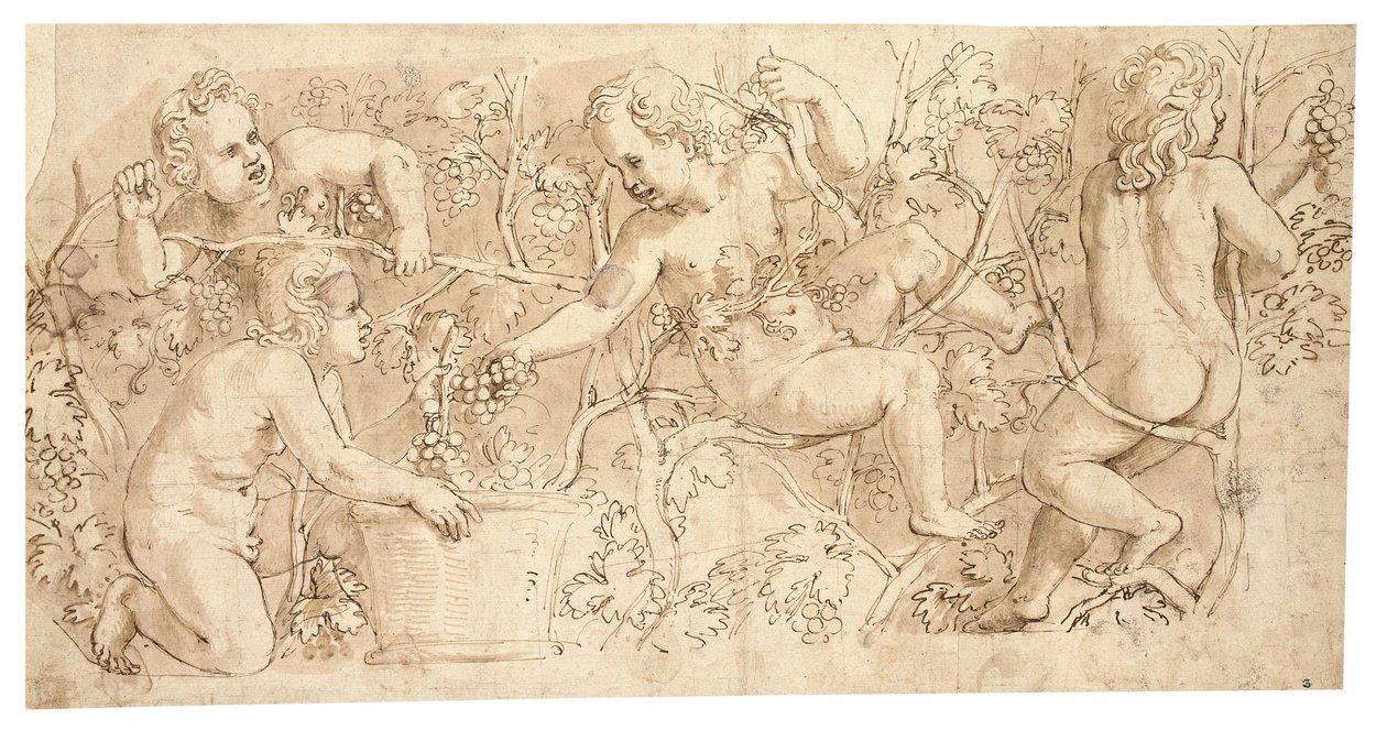 Putti plukker druer: Design til en frise af Giulio Romano