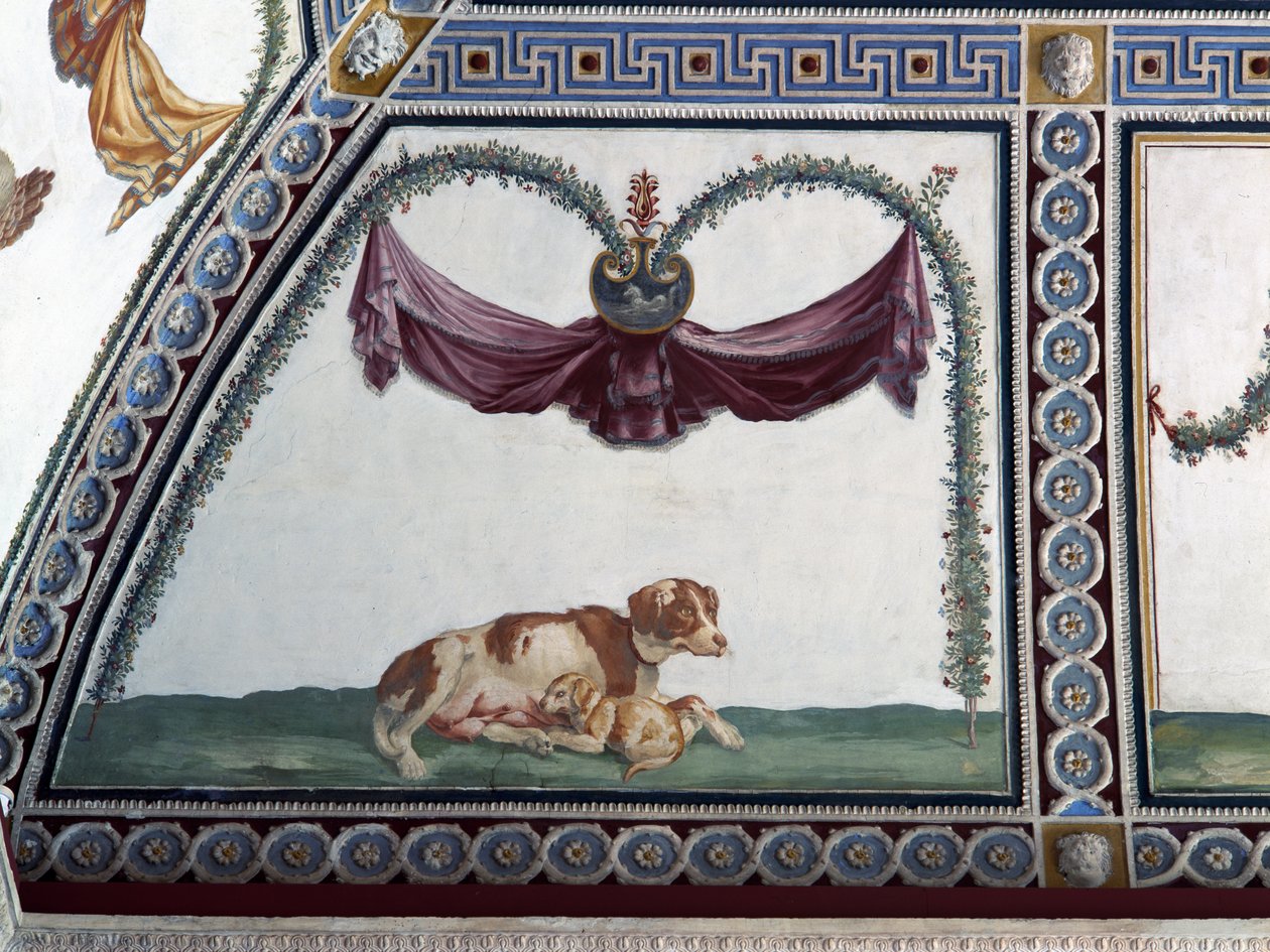 Camera con Fregio di Amorini Chamber of the Cupid Frieze detalje af en hund og en hvalp, fresko fra 1520