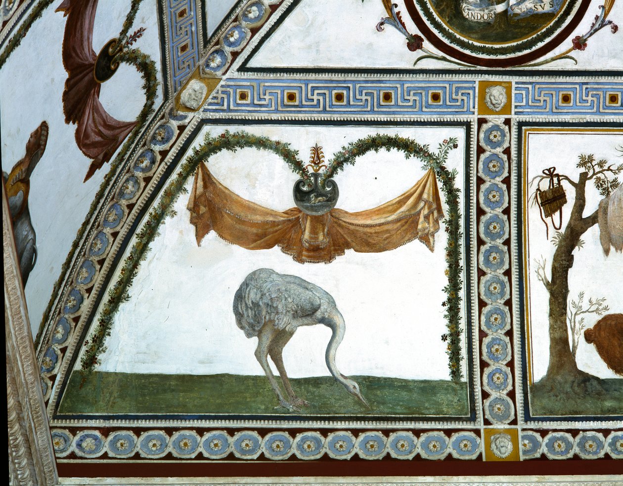 Camera con Fregio di Amorini Chamber of the Cupid Frieze detalje af en struds, fresko fra 1520