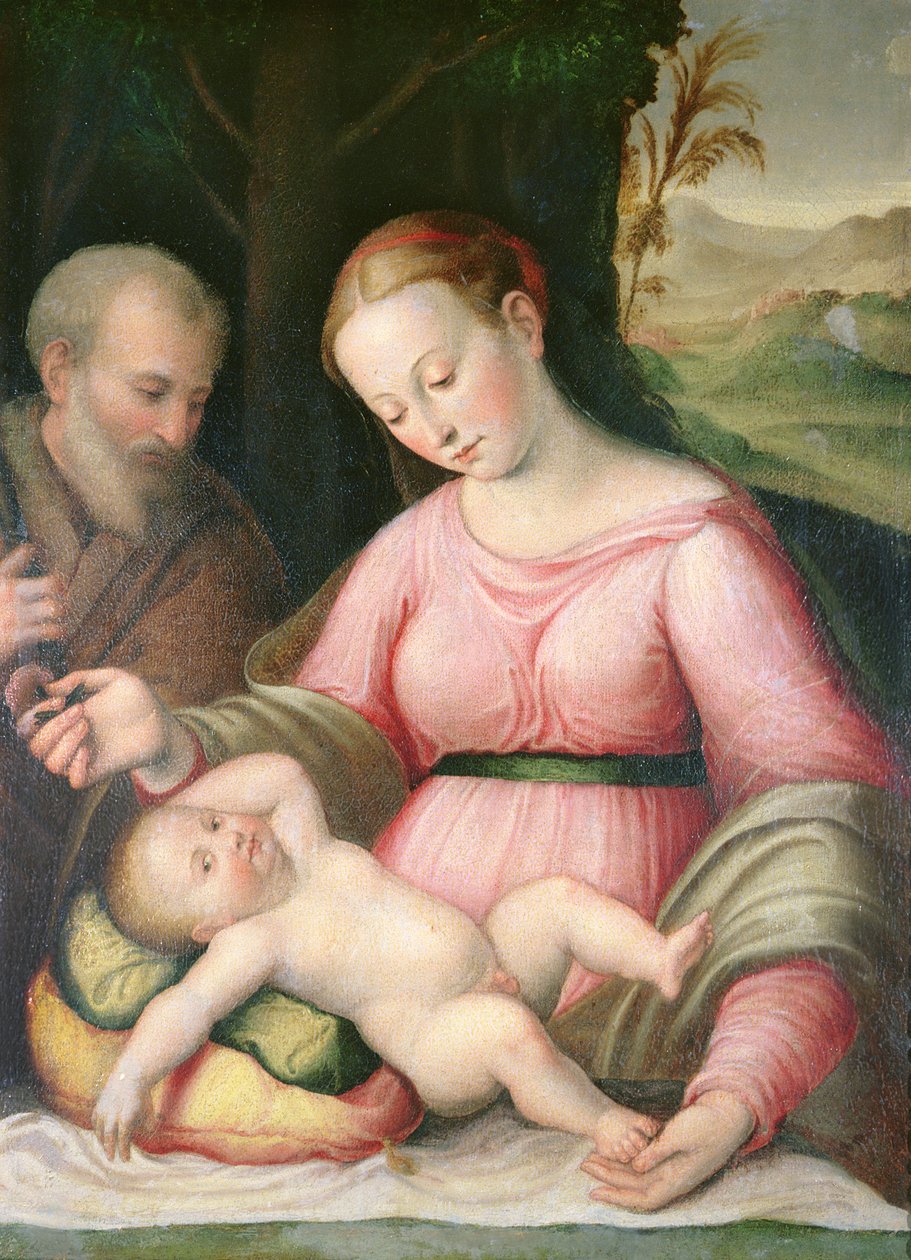 Den hellige familie i et bjergrigt landskab af Giulio Romano