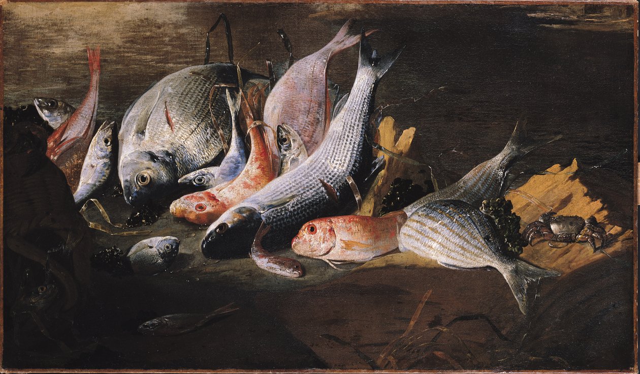 Fisk og krabbe af Giuseppe Recco