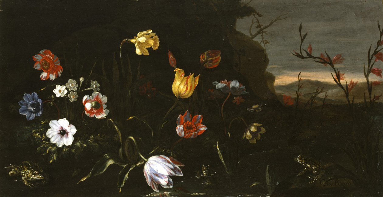 Blomster og frøer af Giuseppe Recco