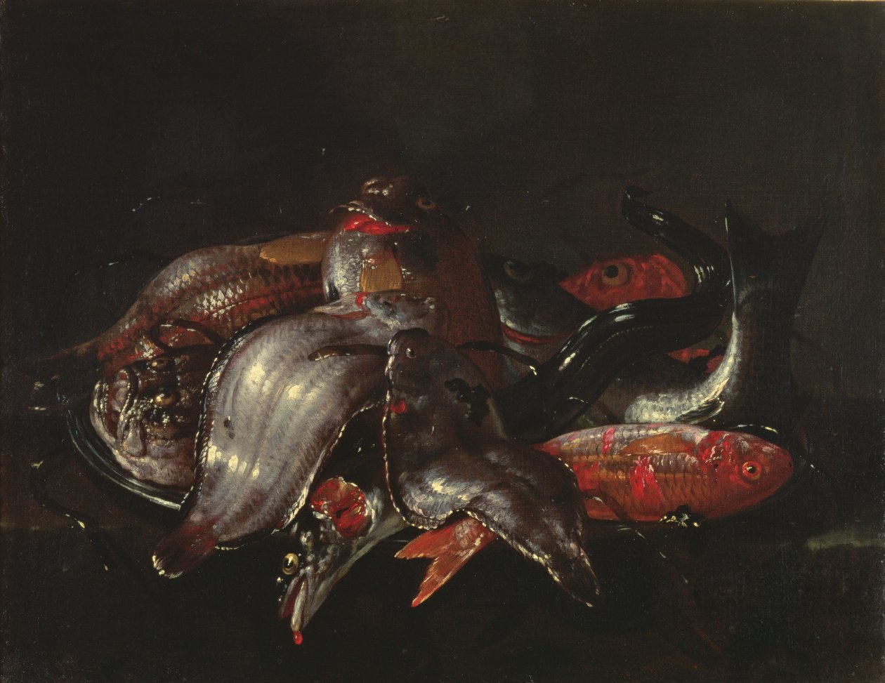 Stilleben af fisk, ca. 1670-80 af Giuseppe Recco