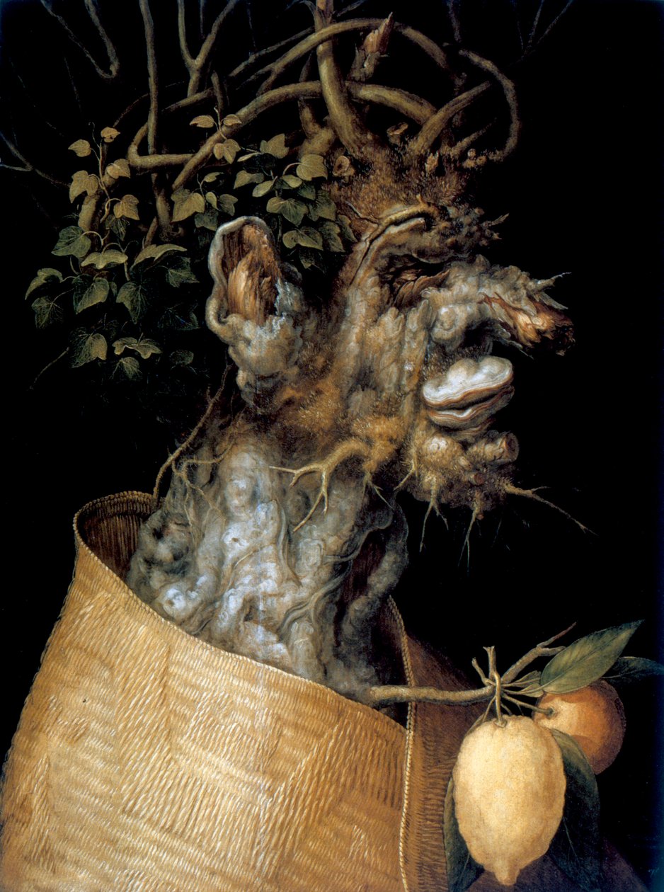 Vinter, 1563 af Giuseppe Arcimboldi