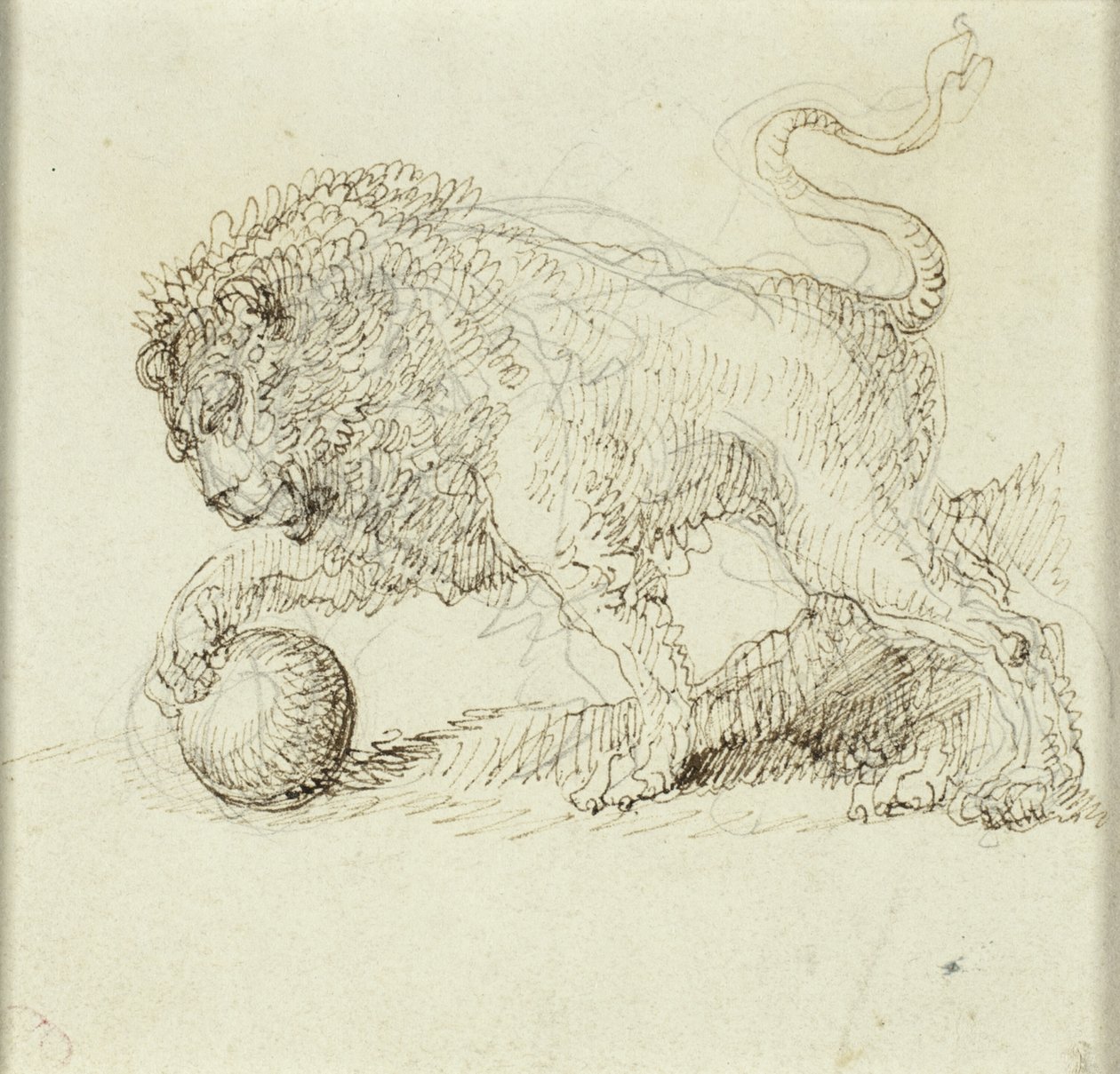 Løve med bold af Giuseppe Bernardino Bison