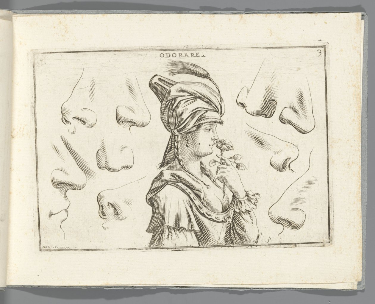 Lugt Odorare (titel på objekt) af Giuseppe Maria Mitelli