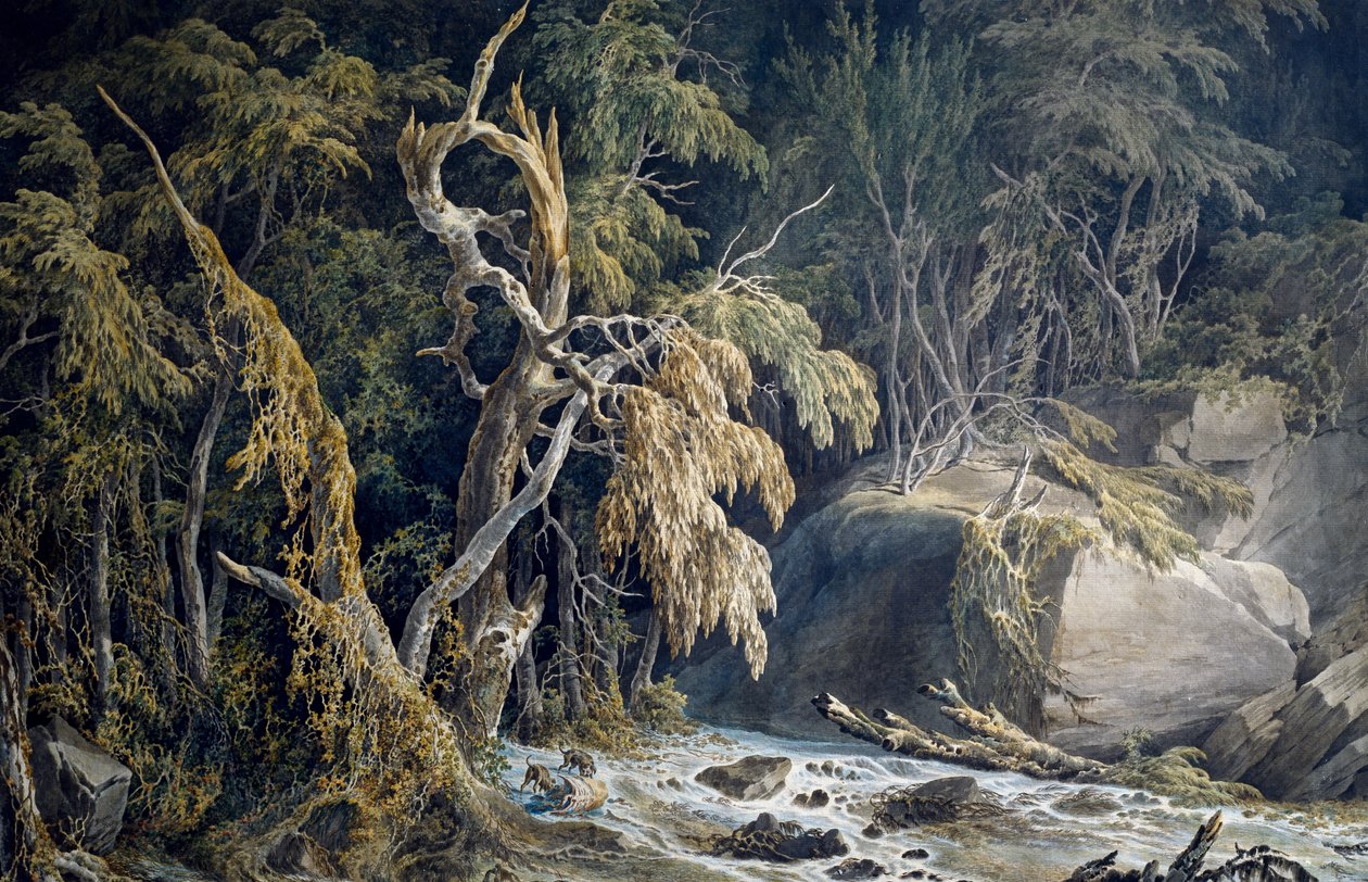 Klippelandskab med træer revet op med rode, af Giuseppe Pietro Bagetti (1764-1831). af Giuseppe Pietro Bagetti