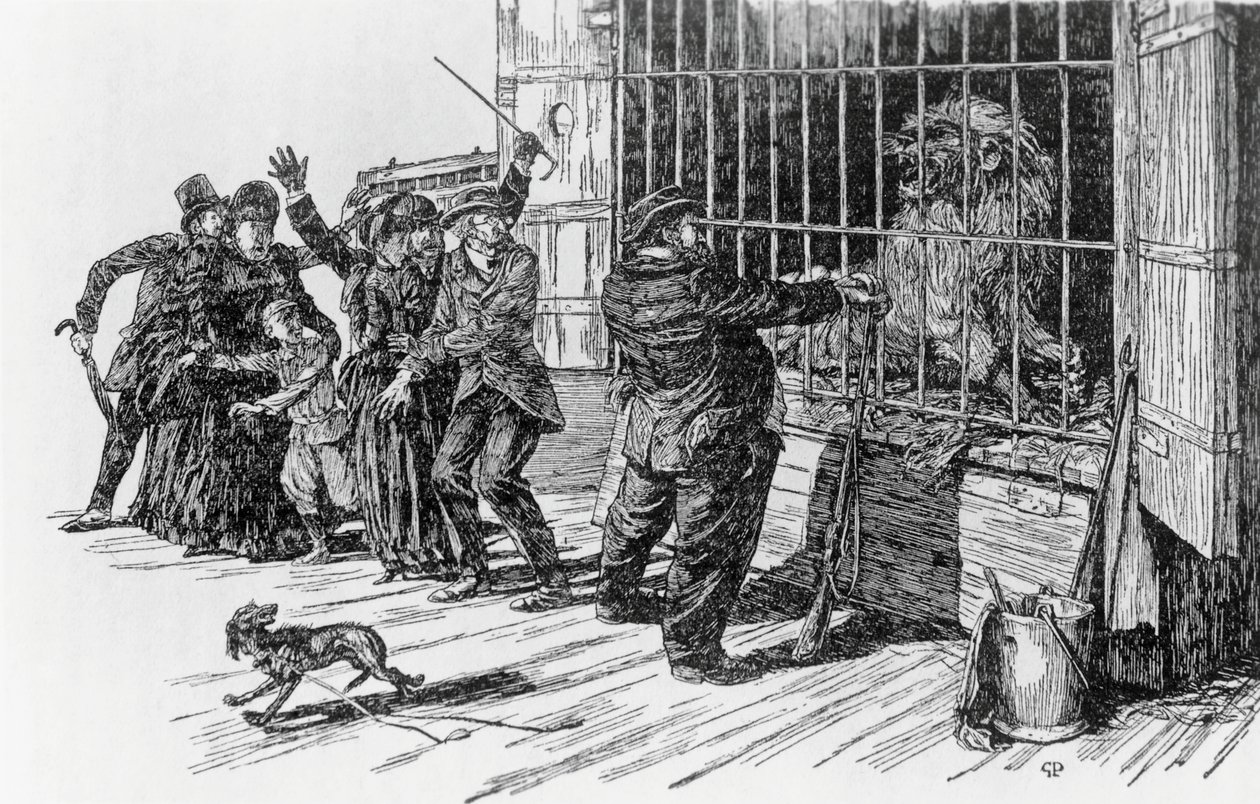 Tartarin og løveburet, illustration til Tartarin på Alperne af Alphonse Daudet Milan af Giuseppe Porcheddu