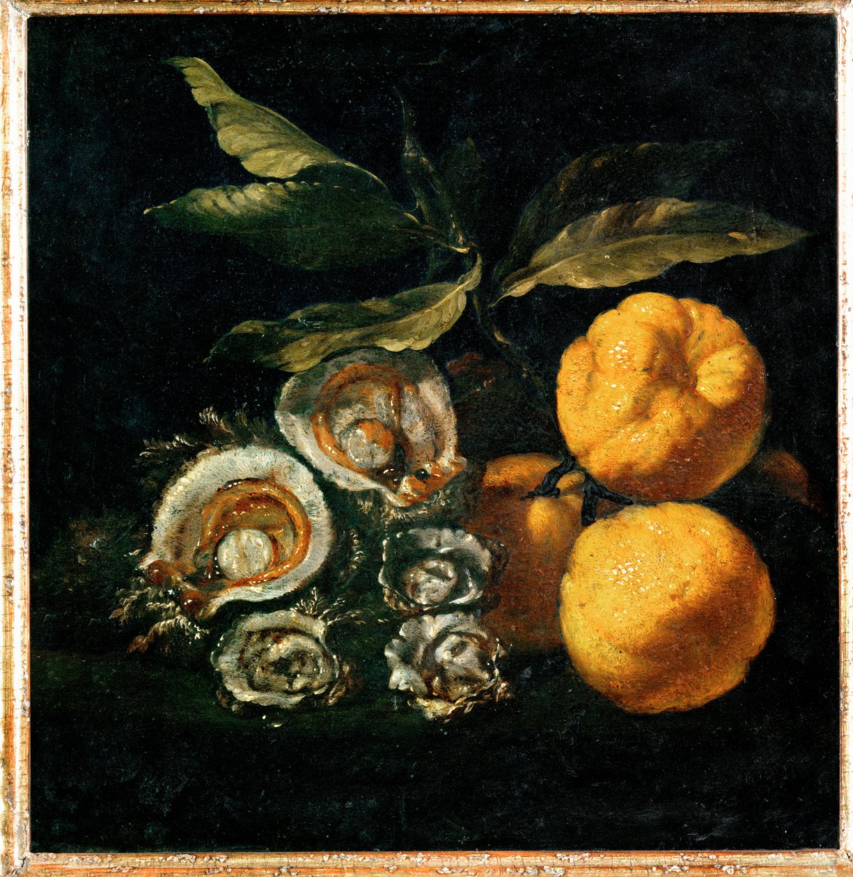 Nature Morte aux huitres et aux coings - Stilleben med østers og kvæder ... af Giuseppe Recco