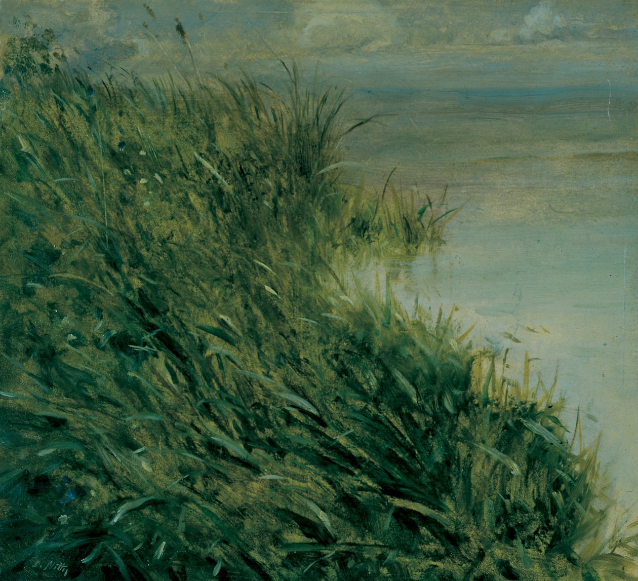 Undersøgelse af mose af Giuseppe or Joseph de Nittis