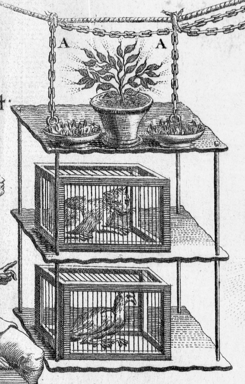 Eksperimenterer med elektricitet, plade fra Essai sur lelectricite des corps af abbed Jean Antoine Nollet, detalje af dyr i bure, 1749 graveringsdetalje af 224419 af Gobin
